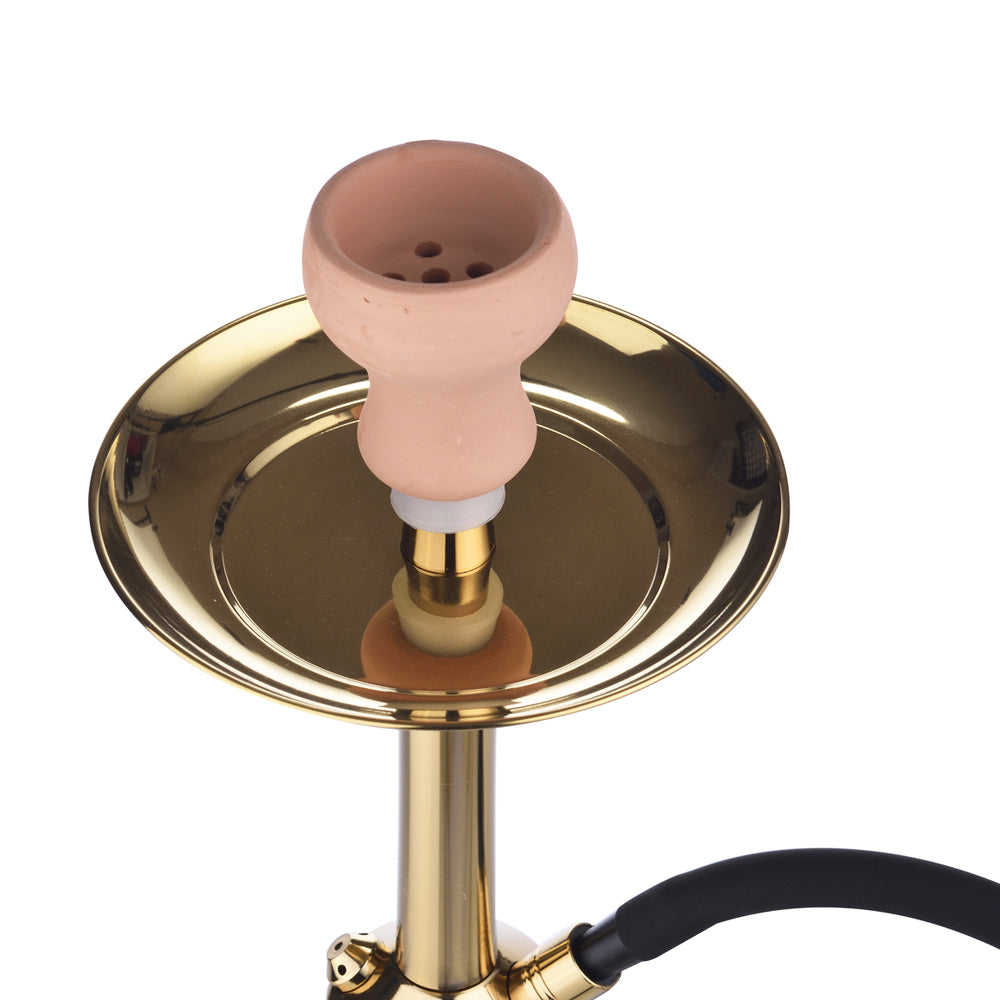 Champ Al Malik | Guisser (50 cm)