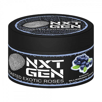 NXTGEN | Exotic Blueberry Magic (BLUEBERRY / ICE)) 0% Nikotin