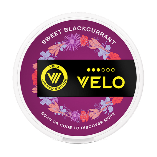 VELO Midsummer Sweet Blackcurrant Limited Edition