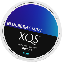 XQS BLUEBERRY MINT