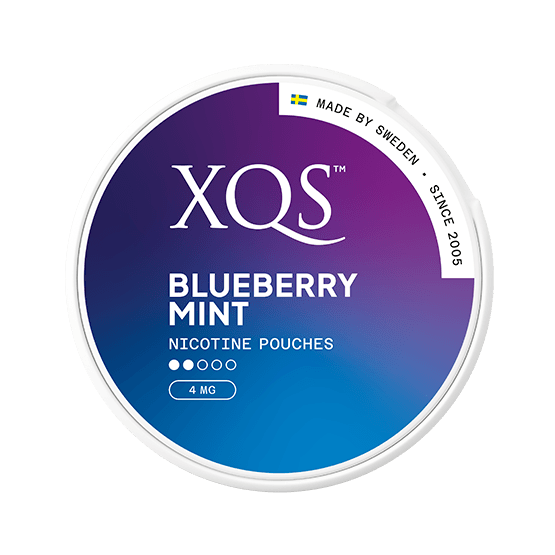 XQS BLUEBERRY MINT