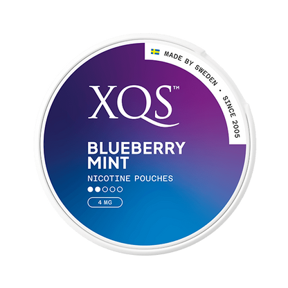 XQS BLUEBERRY MINT