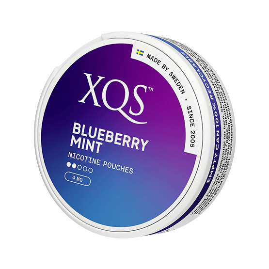 XQS BLUEBERRY MINT