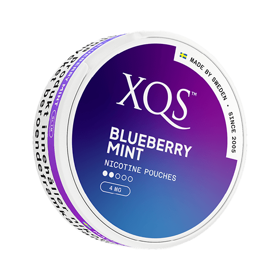 XQS BLUEBERRY MINT